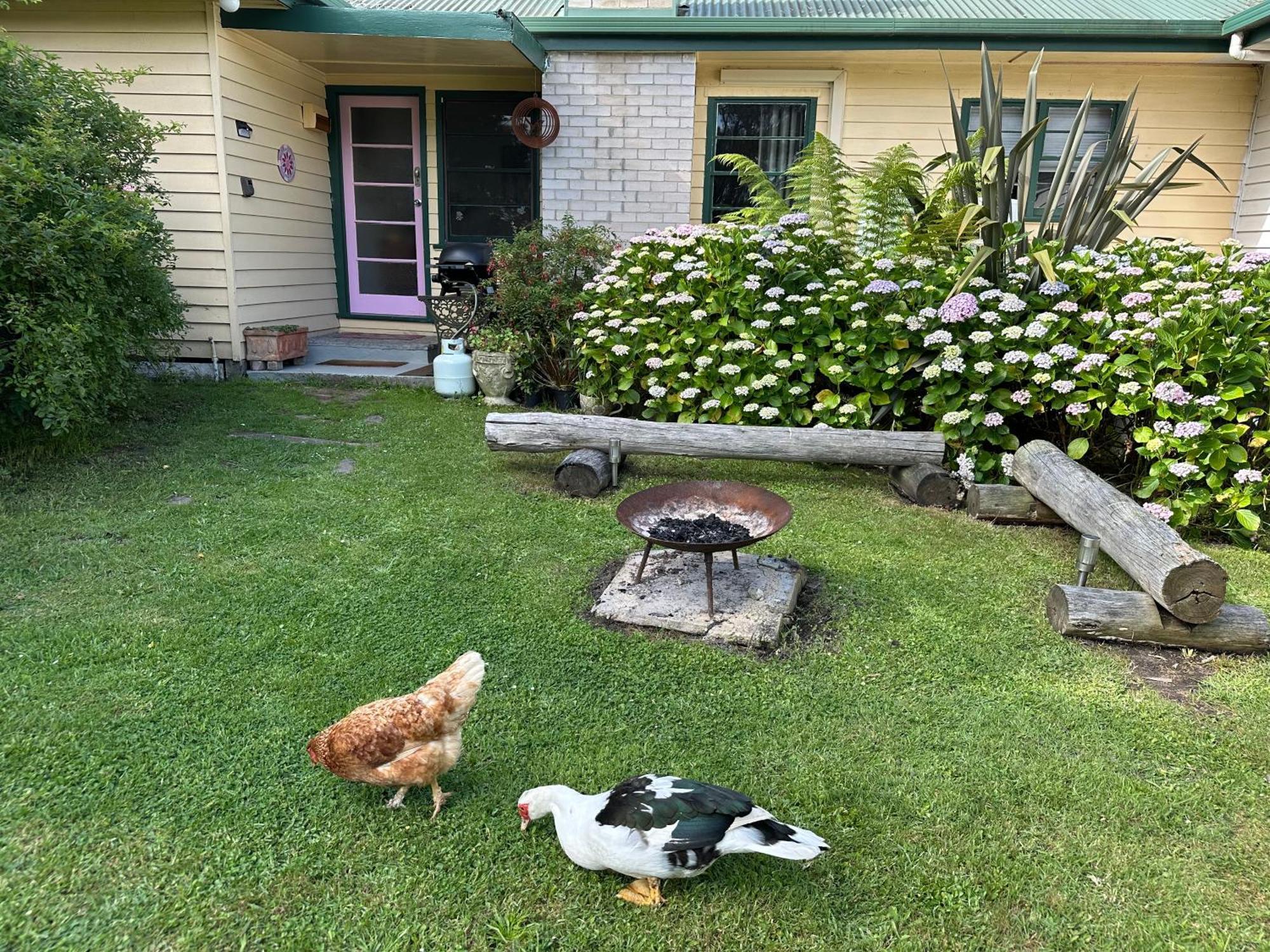 Bush Retreat Farm Stay 2 Bedroom Guest Suite Gelliondale Esterno foto